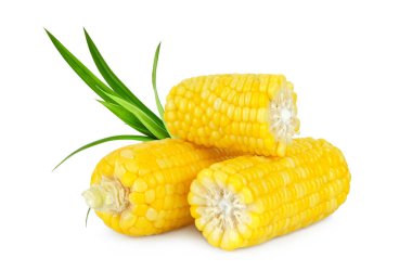 Beyaz arkaplanda izole edilmiş pandan yapraklı mısır