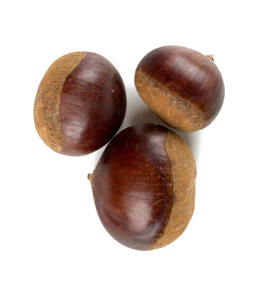 Chestnuts Isolated White — Stock Photo, Image