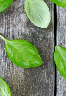 Ahşap yüzeyde taze fesleğen yaprağı