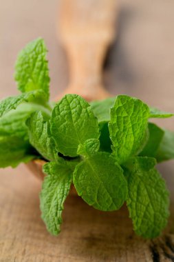ahşap yüzeyde taze nane yaprakları