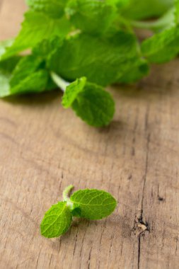 Ahşap yüzeyde taze fesleğen yaprağı