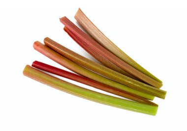 Beyaz arka plan üzerinde izole ravent taze kesilmiş kaynaklanıyor