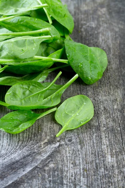 Frische Spinatblätter Nahaufnahme — Stockfoto