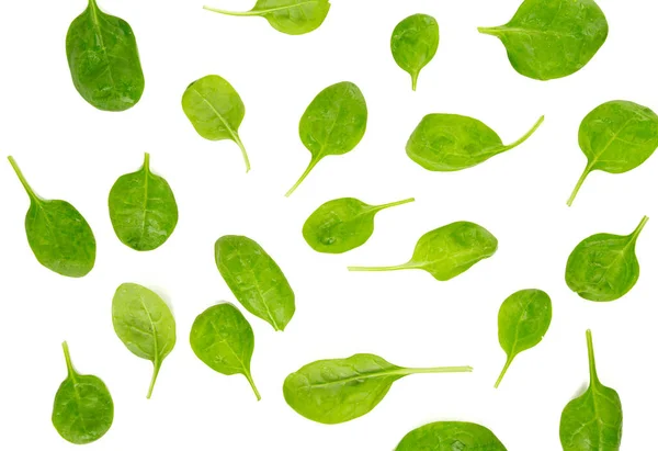 Fresh Spinach Leaves Closeup View — Stock Photo, Image