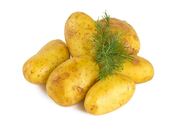 Baby Potatis Isolerad Vit — Stockfoto