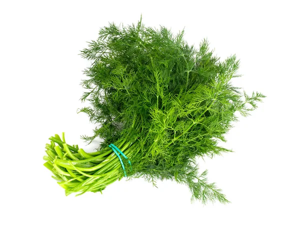 Bunch Dill Isolated White — Stock Photo, Image