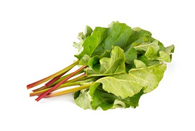 taze ravent üzerinde beyaz izole