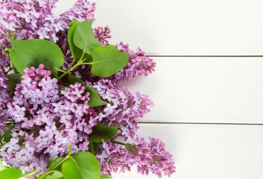 İnanılmaz renkli ve aromatik çiçekler açar.