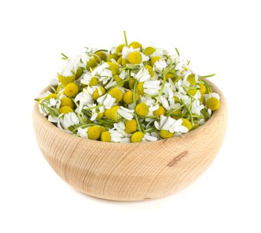 papatya çiçeği bir kase