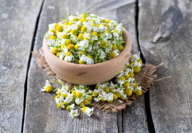 papatya çiçeği bir kase ahşap yüzey üzerinde