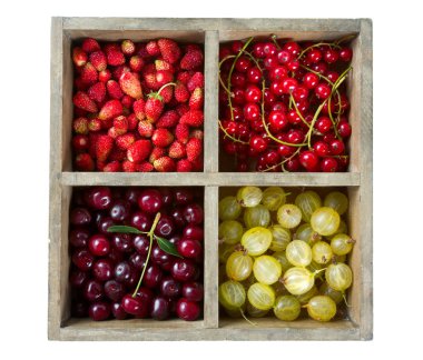 yaz meyveleri, closeup görünümü