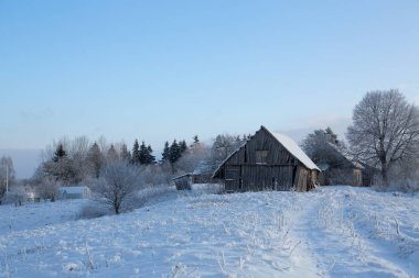Doğal kış manzara gündüz