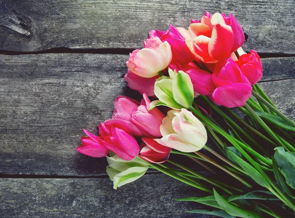 Verbazingwekkende Kleurrijke Aromatische Bloemen Bloeien — Stockfoto