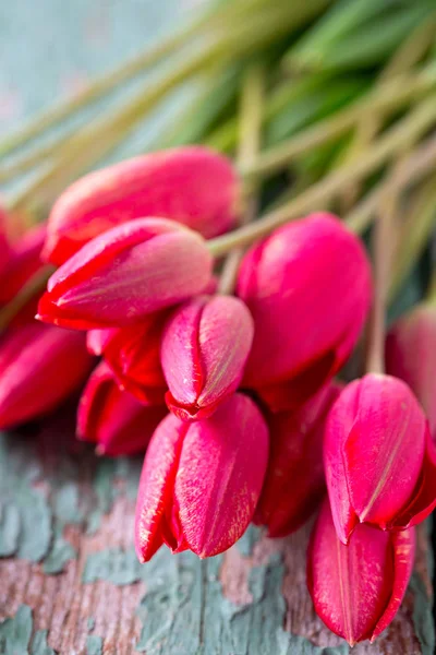 Niesamowite Kolorowe Aromatyczne Kwiaty Kwitną — Zdjęcie stockowe
