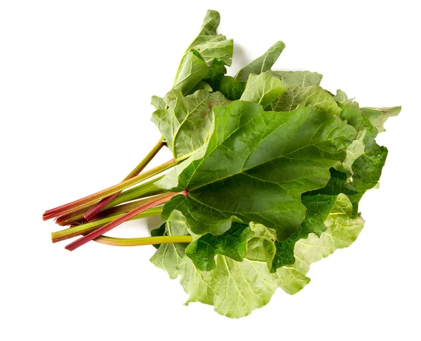 taze ravent üzerinde beyaz izole