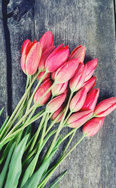 色鮮やかで芳香のある花々 — ストック写真