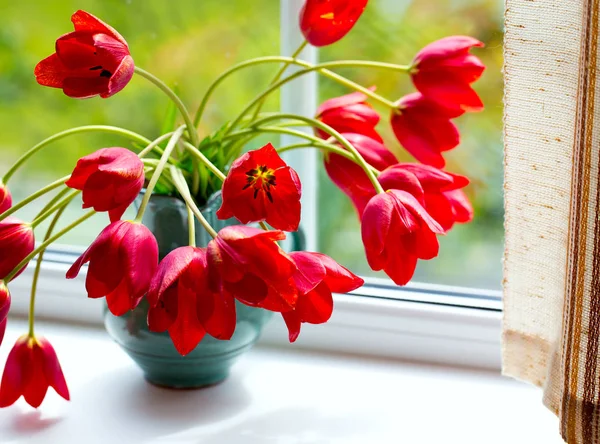 Röda Tulpaner Fönster — Stockfoto