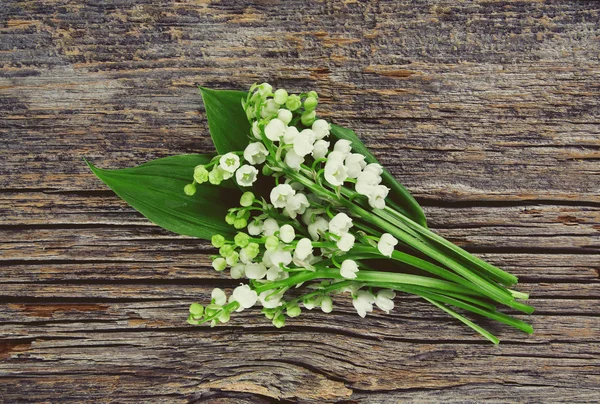 Fantastiska Rgglada Och Aromatiska Blommor Blomma — Stockfoto