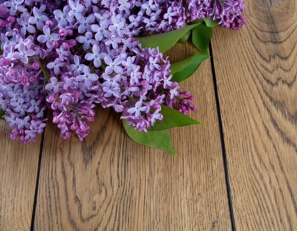 色鮮やかで芳香のある花々 — ストック写真