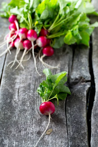 Fersk Reddik Treoverflate – stockfoto