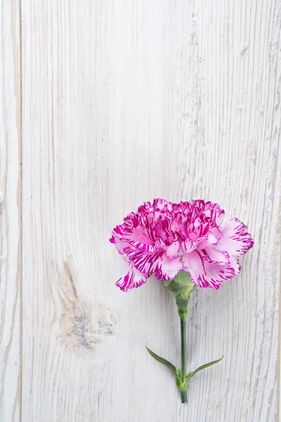 Mooie Carnation Bloemen Houten Oppervlak — Stockfoto