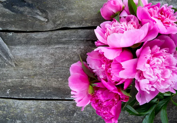 Verbazingwekkende Kleurrijke Aromatische Bloemen Bloeien — Stockfoto