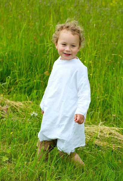 Cute Little Boy Green Meadow — Stock Photo, Image