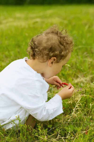 Netter Kleiner Junge Auf Der Grünen Wiese — Stockfoto