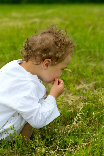 Netter Kleiner Junge Auf Der Grünen Wiese — Stockfoto