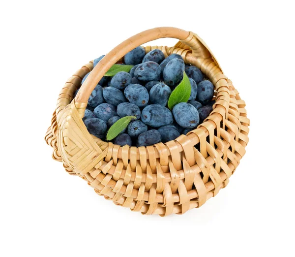 Honeysuckle Berries Basket White — Stock Photo, Image