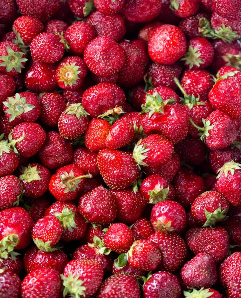 Dehydrated Sliced Strawberries Closeup View — Stock Photo, Image