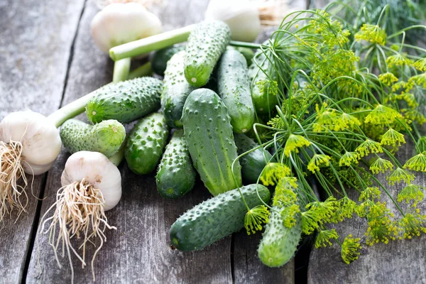 Färska Gurkor Träbord — Stockfoto