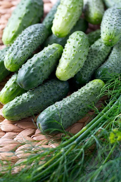 Verse Komkommers Houten Tafel — Stockfoto