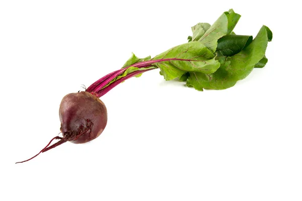Beet Isolated Closeup View — Stock Photo, Image