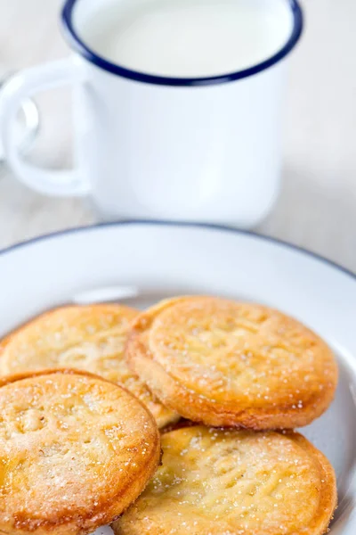 Čerstvé Domácí Cookies Mléko — Stock fotografie