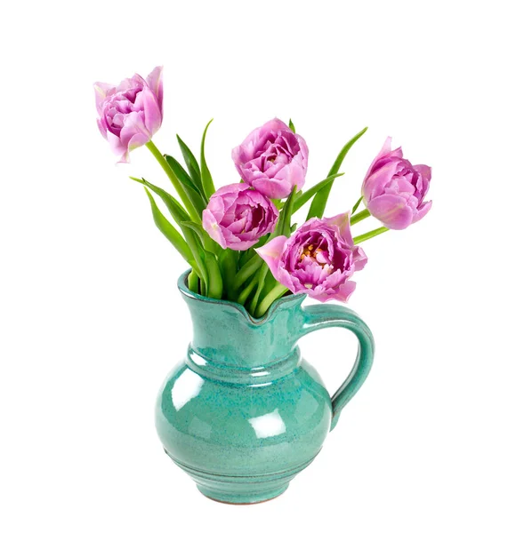 Violet Tulpen Geïsoleerd Wit — Stockfoto