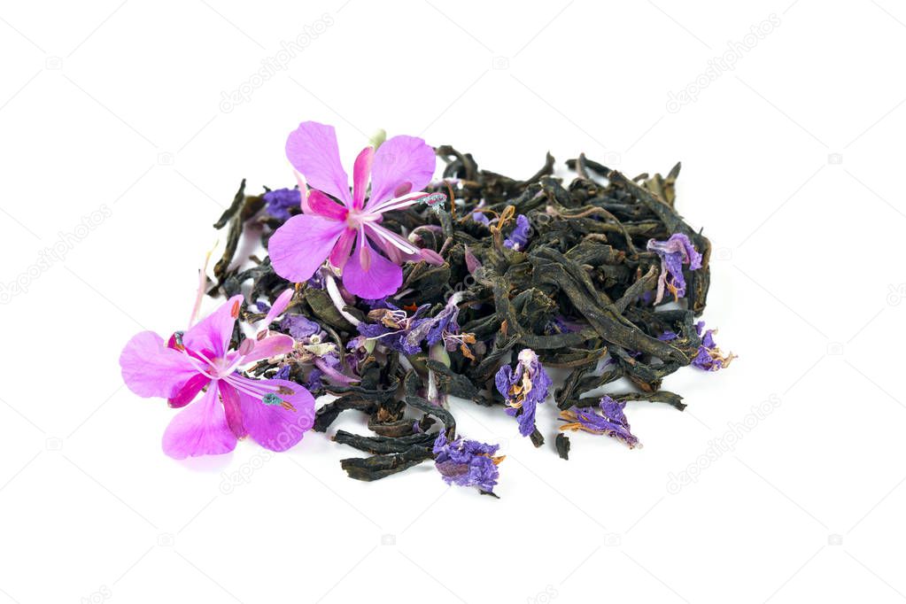 fireweed tea isolated on white