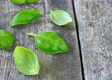 Ahşap yüzeyde taze fesleğen yaprağı