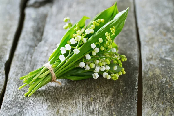 Amazing Colorful Aromatic Flowers Blossom — Stock Photo, Image