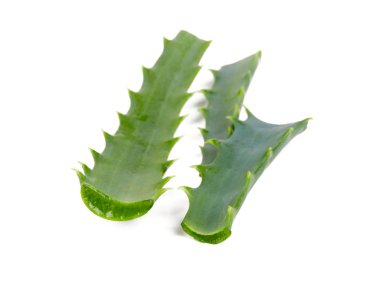 aloe vera üzerinde beyaz izole