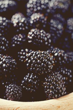 taze olgun böğürtlen arka plan