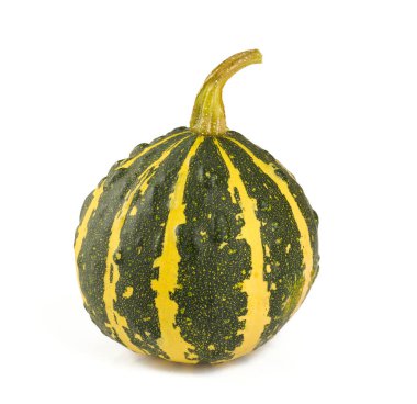 renkli olgun sarı kabak