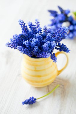 bir sürahi üzüm sümbül çiçeği.