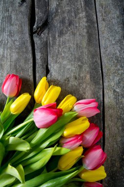 ahşap yüzey üzerinde renkli Lale