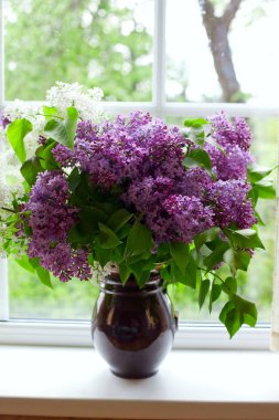 demet leylak pencere pervazına üzerinde vazoda