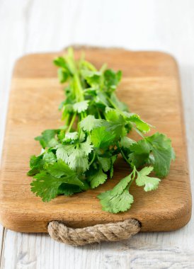 Salantro ahşap kartı