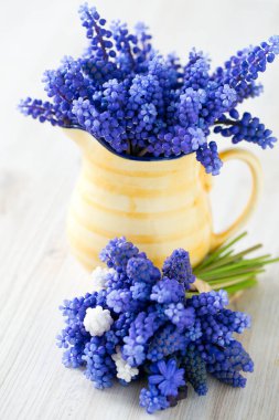 bir sürahi üzüm sümbül çiçeği.