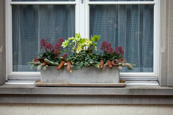 Ventana con flores en maceta — Foto de Stock