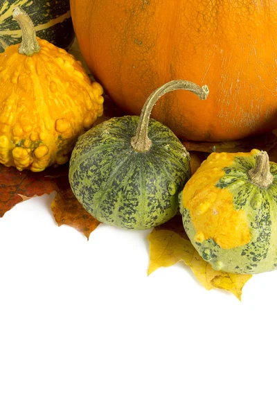 Mucchio Zucche Colorate Concetto Halloween — Foto Stock