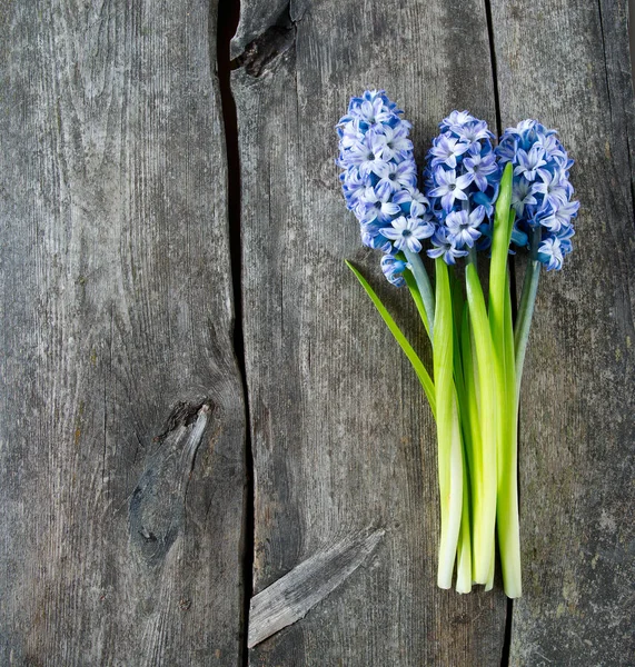 Μπλε Ριγέ Λουλούδια Υάκινθων Ξύλινη Επιφάνεια — Φωτογραφία Αρχείου